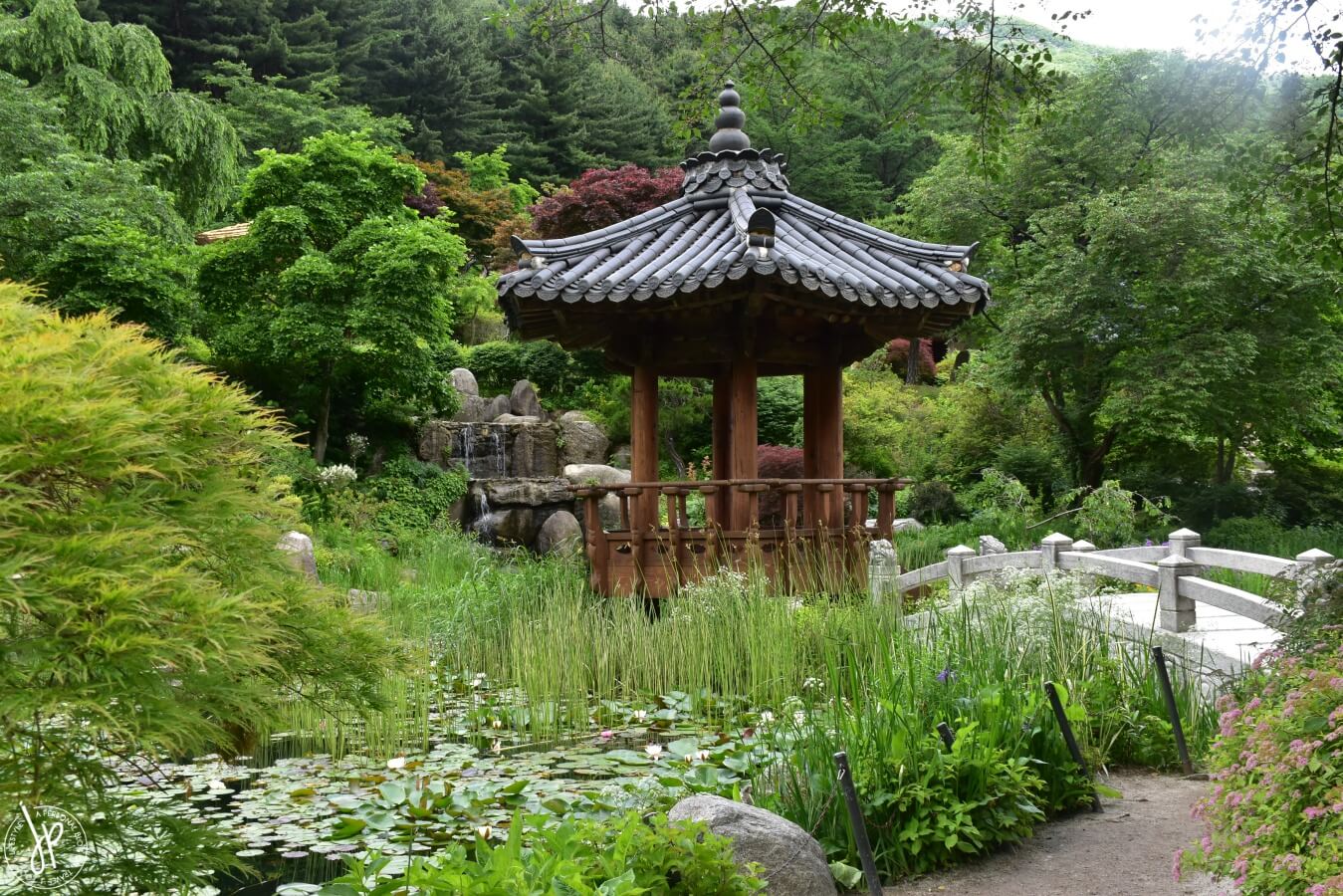 pond and gazebo