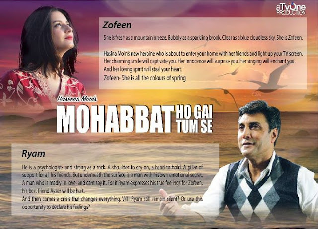 Mohabbat Ho Gai Tum Say Cast Role and Story 