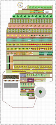 row-based garden plan