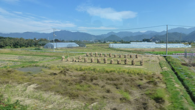 Japanese farmlands, greenhouses and straw