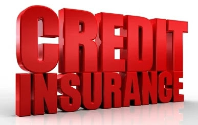 Credit Insurance India