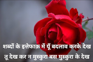 Ishq Shayari In Hindi