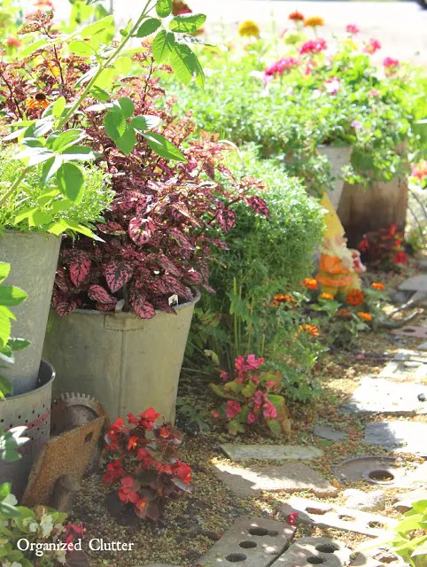 Buckets and Pails as Planters in the Junk Garden