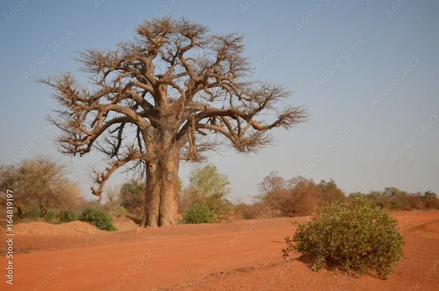 burkina-faso