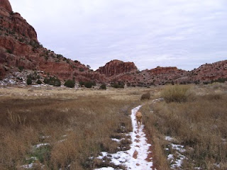 Scout on the Hidden Valley trail, with the petroglyph wall in the distance