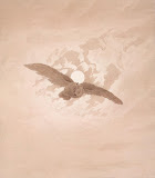 Owl Flying against a Moonlit Sky by Caspar David Friedrich - Animal Drawings from Hermitage Museum