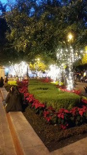 jardín adornado Querétaro, diciembre 2015