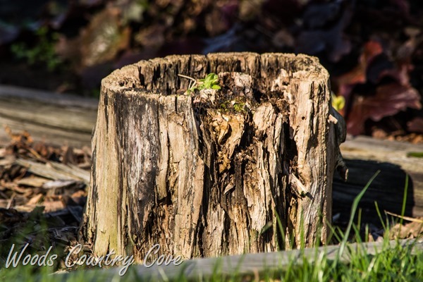 NOVEMBER 2015 (9 of 11)