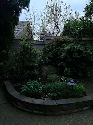 A image of a garden against a cloudy sky