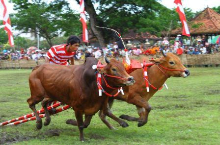 Kebudayaan Suku Madura | Suku Dunia