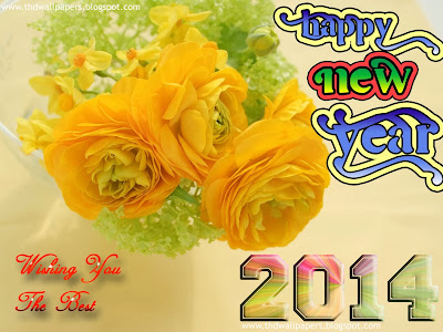 Latest Beautiful Happy New Year 2014 Photos