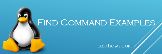 Find Command Best Examples