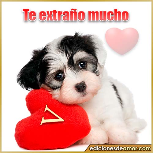 perrito con corazón V