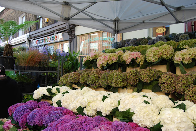 Columbia road flower market. Mercado de flores con encanto en Londres
