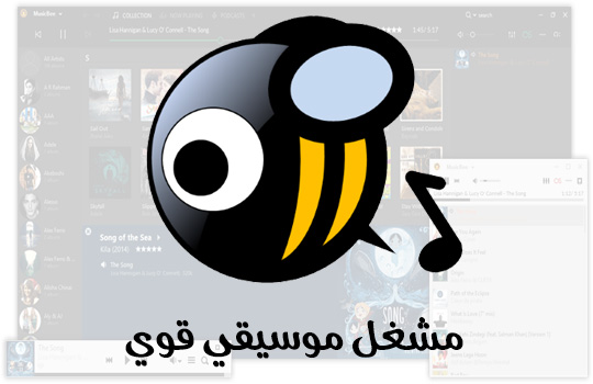 تحميل برنامج تشغيل اغاني musicbee للكمبيوتر