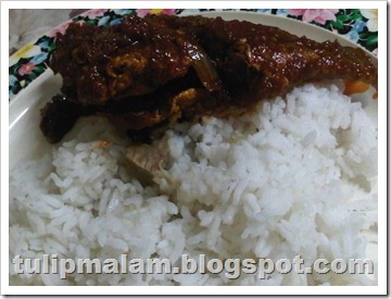 IMG00527-20101119-2120