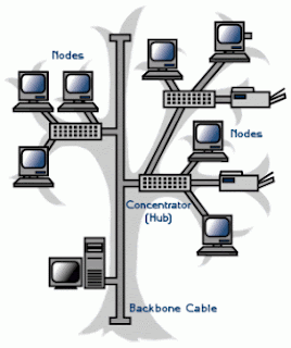 jenis topologi jaringan tree