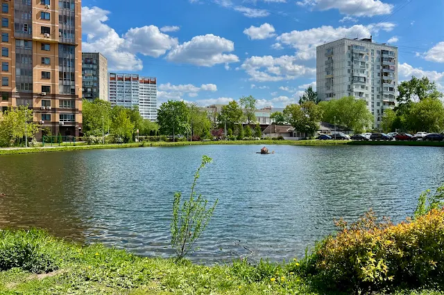 5-й проспект Новогиреева, Кошачий пруд