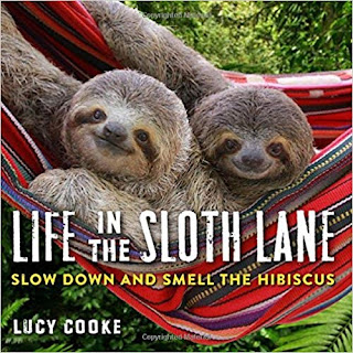 Life in the Sloth Lane: Slow Down and Smell the Hibiscus