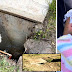 A newborn survived after spending 5 days in a sewer
