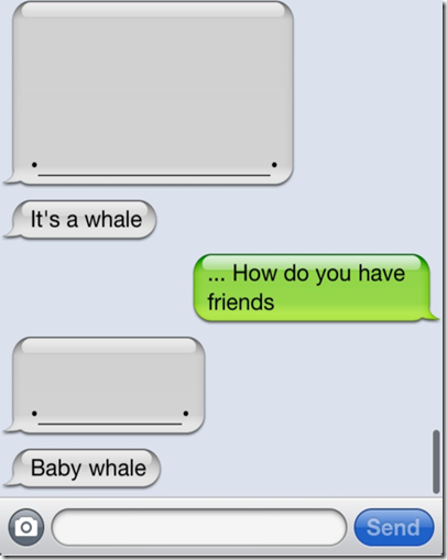 whale