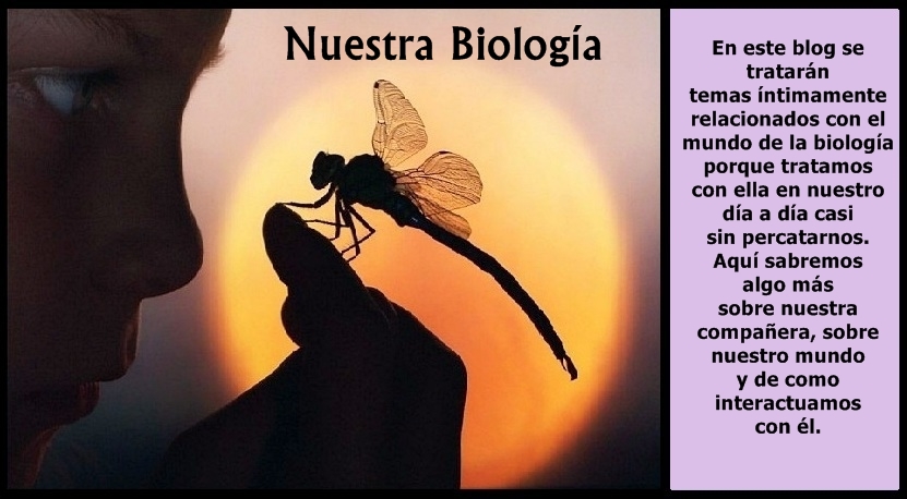 Nuestra Biolog a LA PARTENOG NESIS