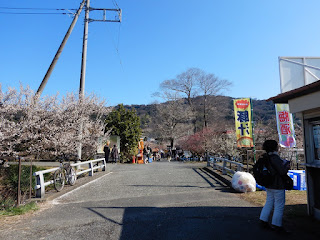 曽我の梅林では出店等も出ています。