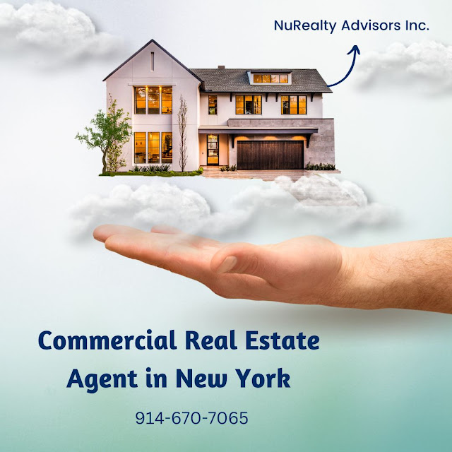 commercial real estate consultant