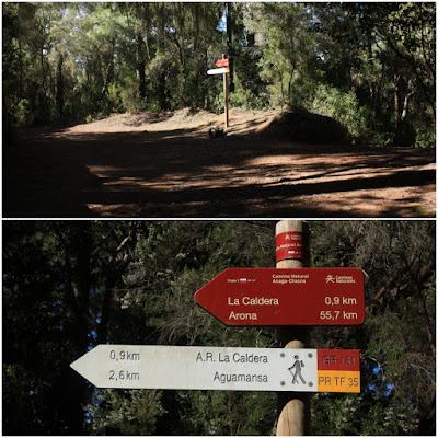 GR-131 - TRAMO 3 LA ESPERANZA (EL ROSARIO) AL ÁREA RECREATIVA DE LA CALDERA (AGUAMANSA - LA OROTAVA), Pista Monte del Pino