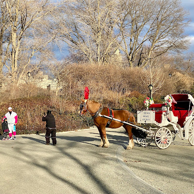 Central Park charioteer taking a photo of his recent fare, a father and daughter