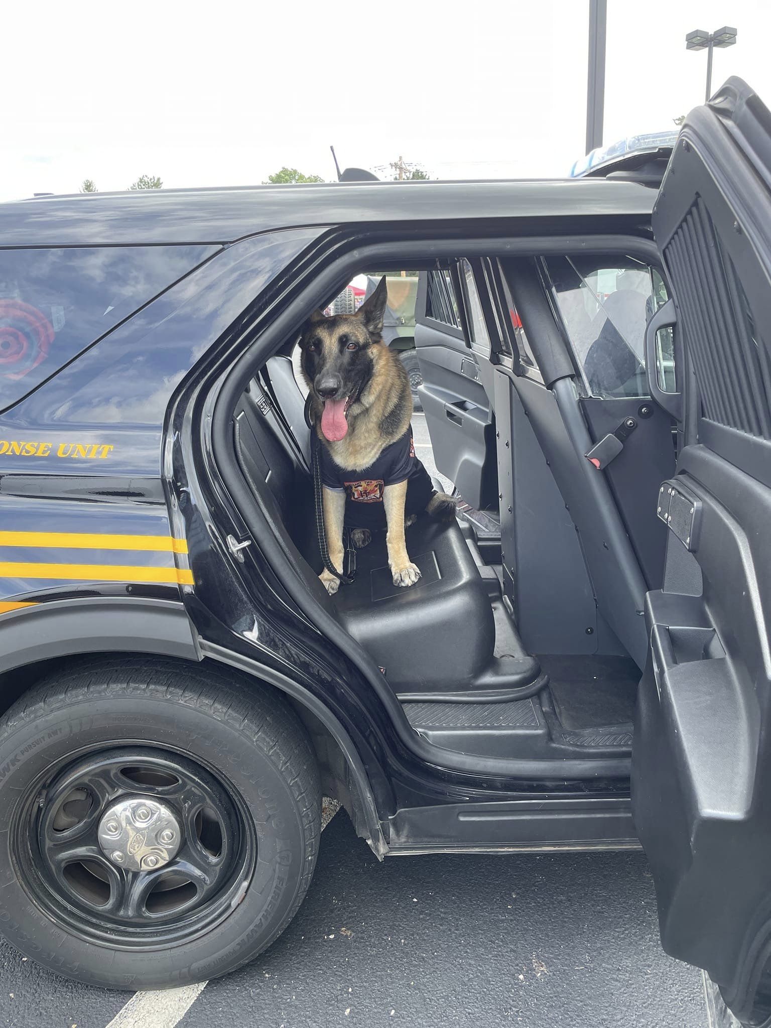 k9 in the back of sheriffs car