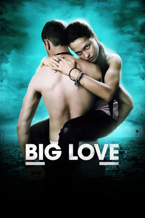 Big Love 2012 Film Completo Streaming
