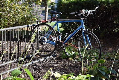 Bike in rack at Warde Hall