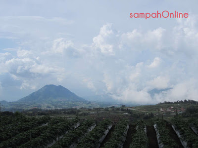 Panorama Pendakian Gunung Merbabu