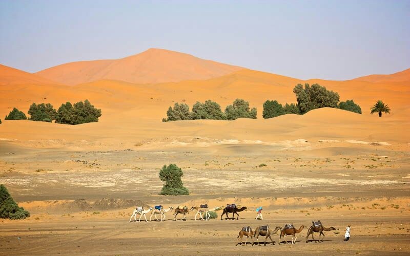 Fez To Marrakech Via Merzouga Desert Trip