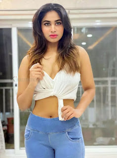 Bigg Boss Shivani Hot Saree Sexy