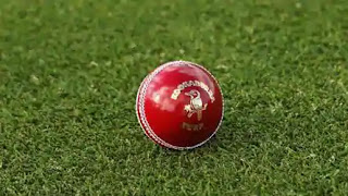 newzealand-will-host-pakistan-bangladesh-and-others