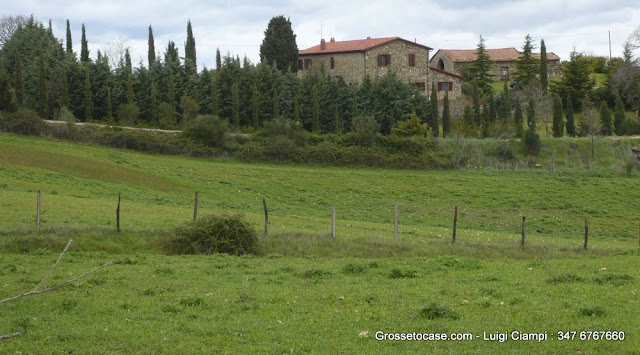 Grosseto Invest Immobiliare - Casale vendita Scansano