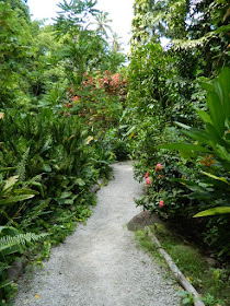 Diamond Botanical Gardens down a path Soufriere St. Lucia by garden muses-not another Toronto gardening blog