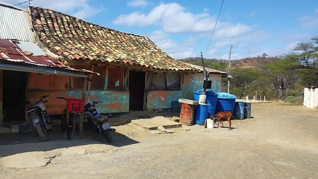 EN PALO DE OLOR PASAN LAS DE CAÍN POR FALTA DE AGUA