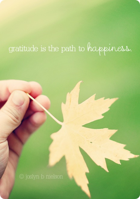 gratitude 2011web