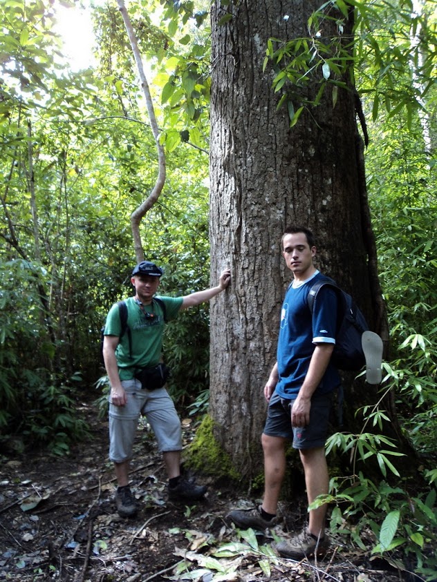 Two-Day Trek at Doi Pha Ngam, trek at doi phan gam, trekking at doi phan gam, 2 days trek at doi phan gam, chiang mai trekking, trekking in chiang mai