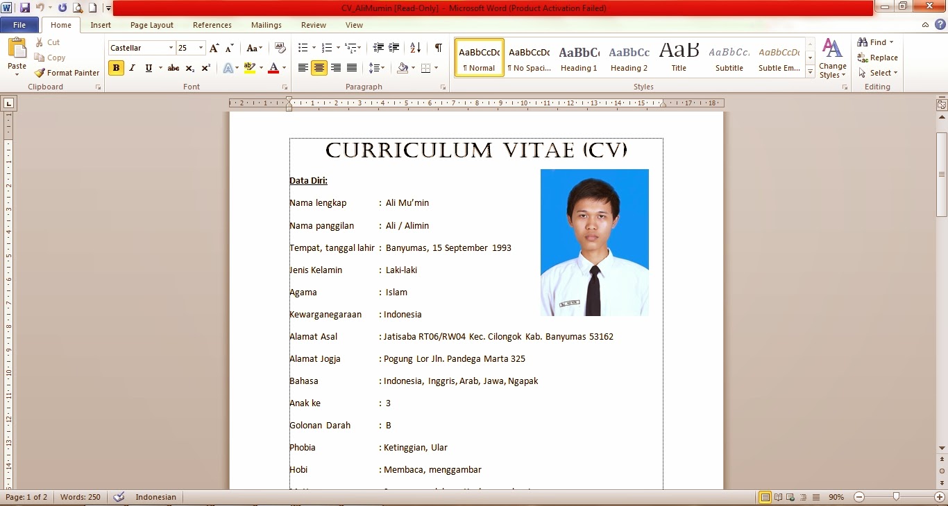 The Cunkcrink: Cara Bikin Design CV yang Menarik