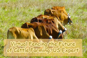 Virtual fencing the future of farming: US expert