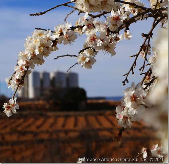 flores y bodega