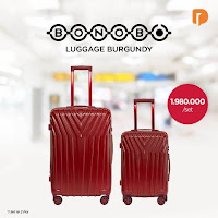 Dusdusan Bonobo Luggage Burgundy (Set of 2) ANDHIMIND