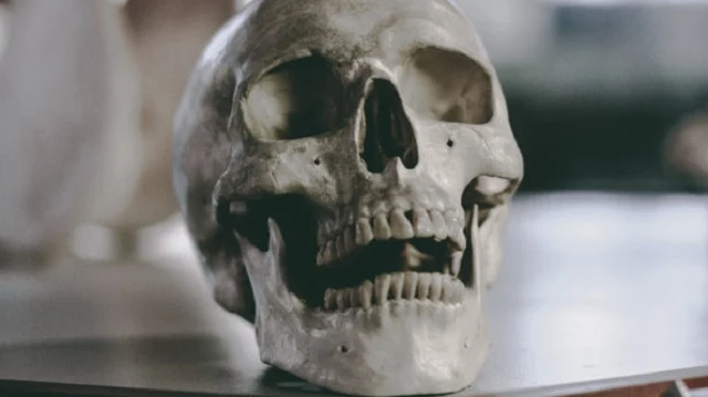 20.000 Ανθρώπινοι Σκελετοί κάτω από το Μουσείο του Λονδίνου!