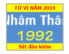 Tử Vi Tuổi Nhâm Thân 1992 Năm 2019 Nam Mạng - Nữ Mạng