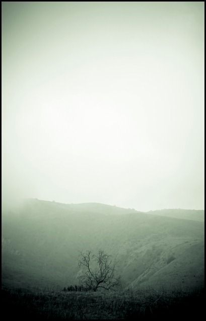 CarbonCanyonFog-116