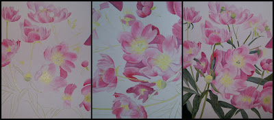 Danielle Beaulieu's watercolours of peonies work in progress